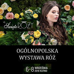 6-8.09.2019  - 45. Święto Róży